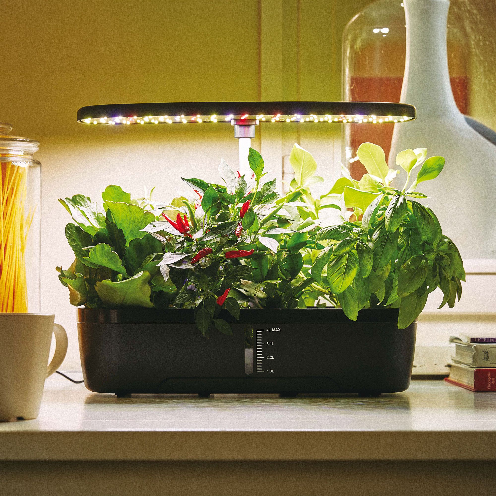 Verdemax
Orto idroponico
indoor a 12 celle