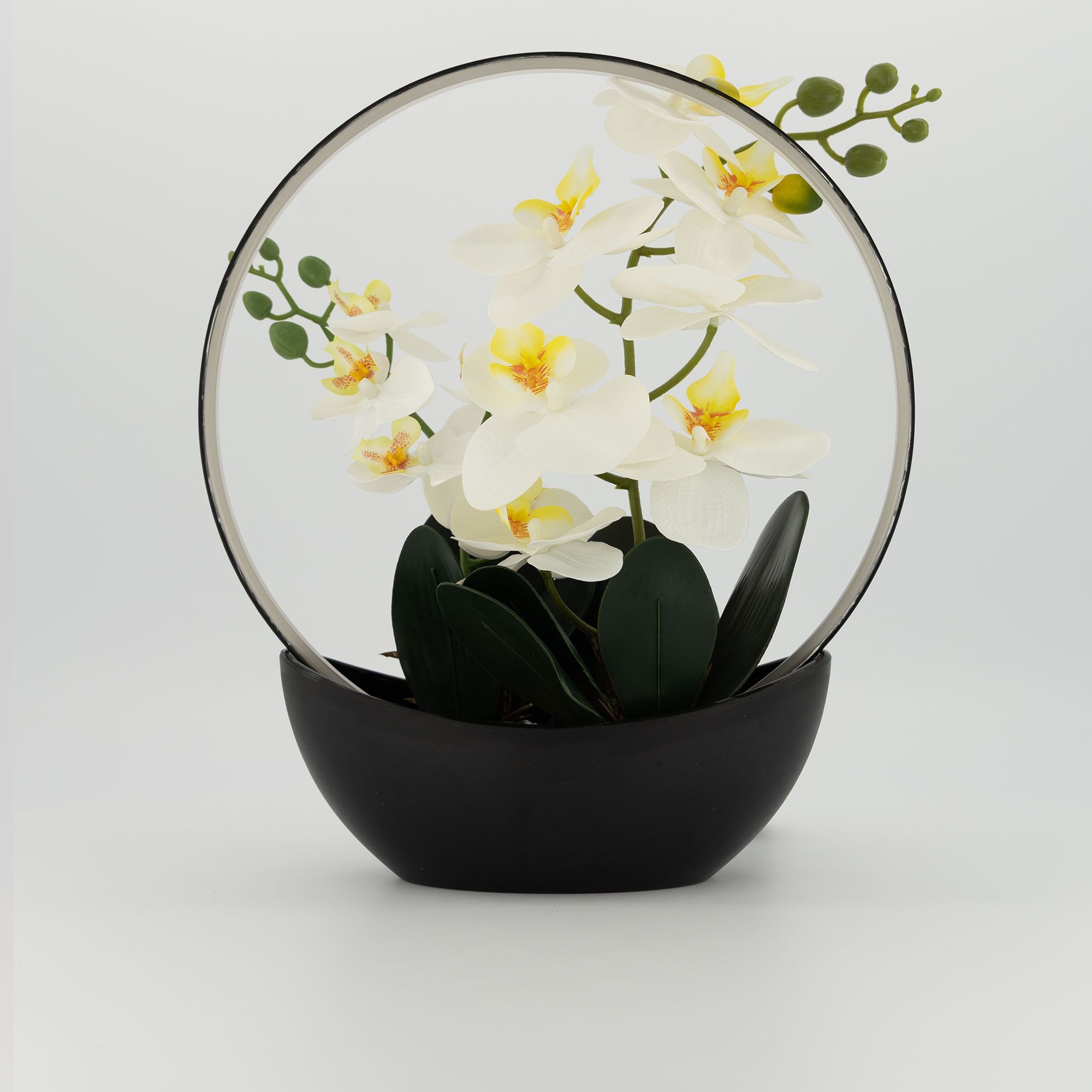 Garden Stories
Composizione orchidee
pre-illuminate