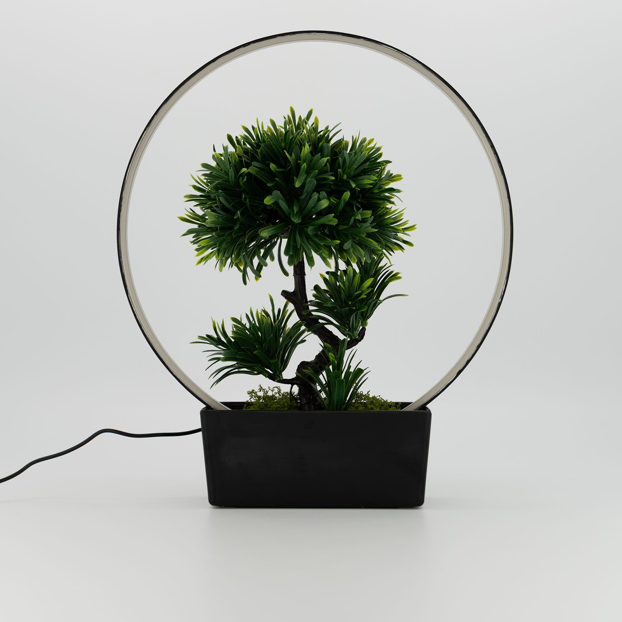 Garden Stories
Bonsai illuminato
con anello Led