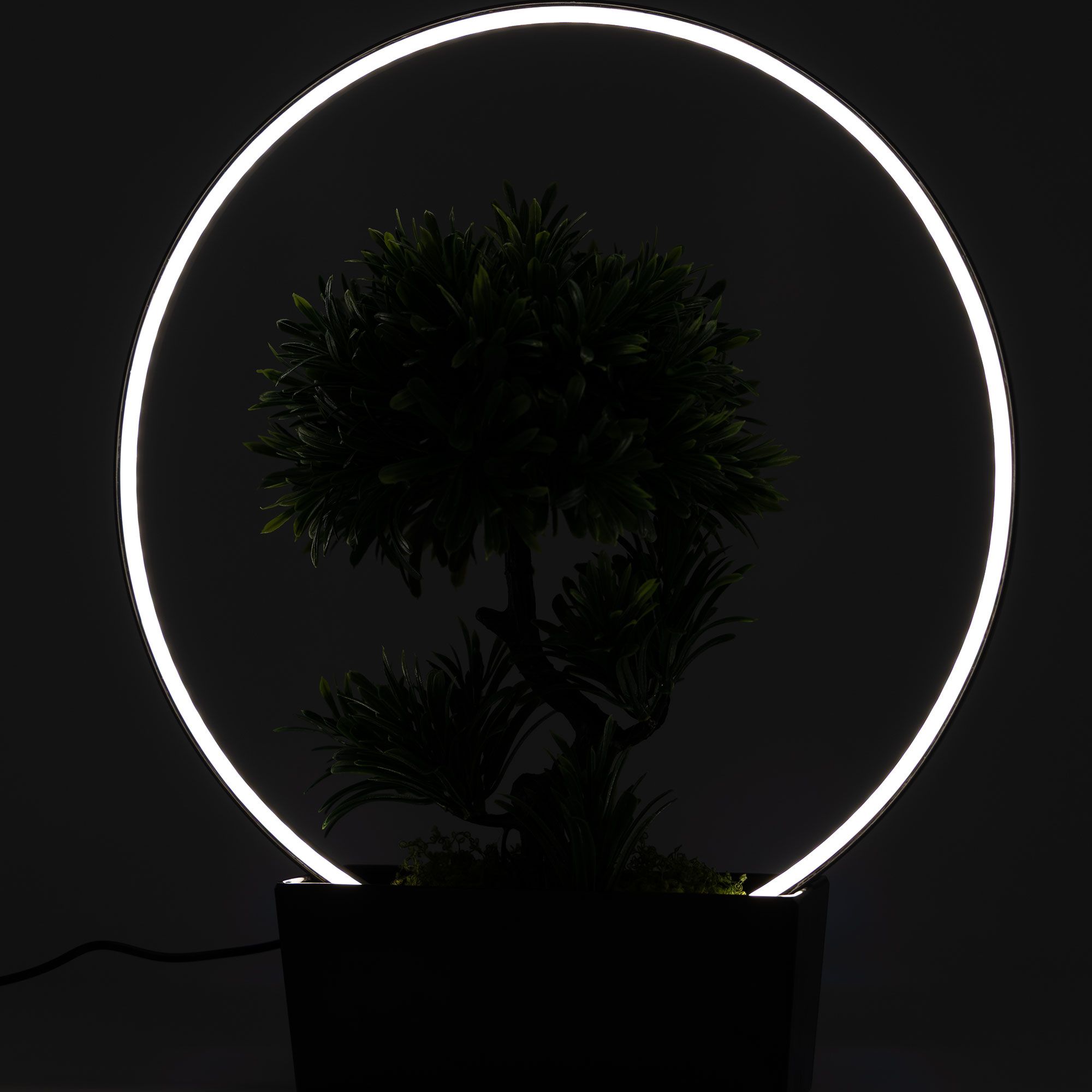 Garden Stories Bonsai illuminato con anello Led