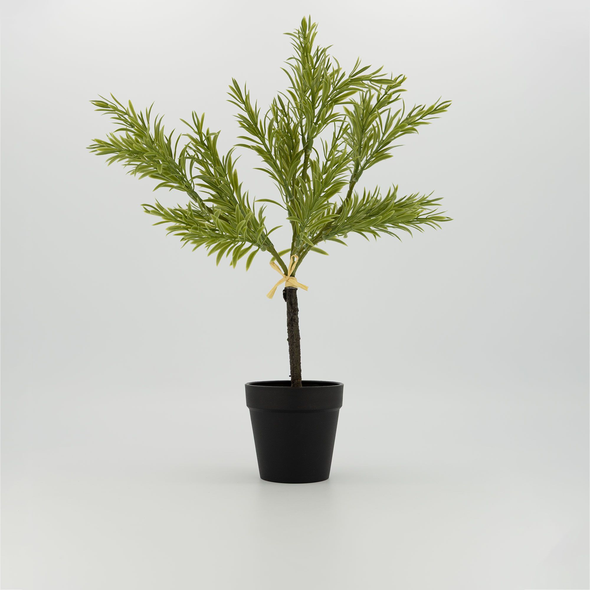 Garden Stories
Alberello di
rosmarino artificiale