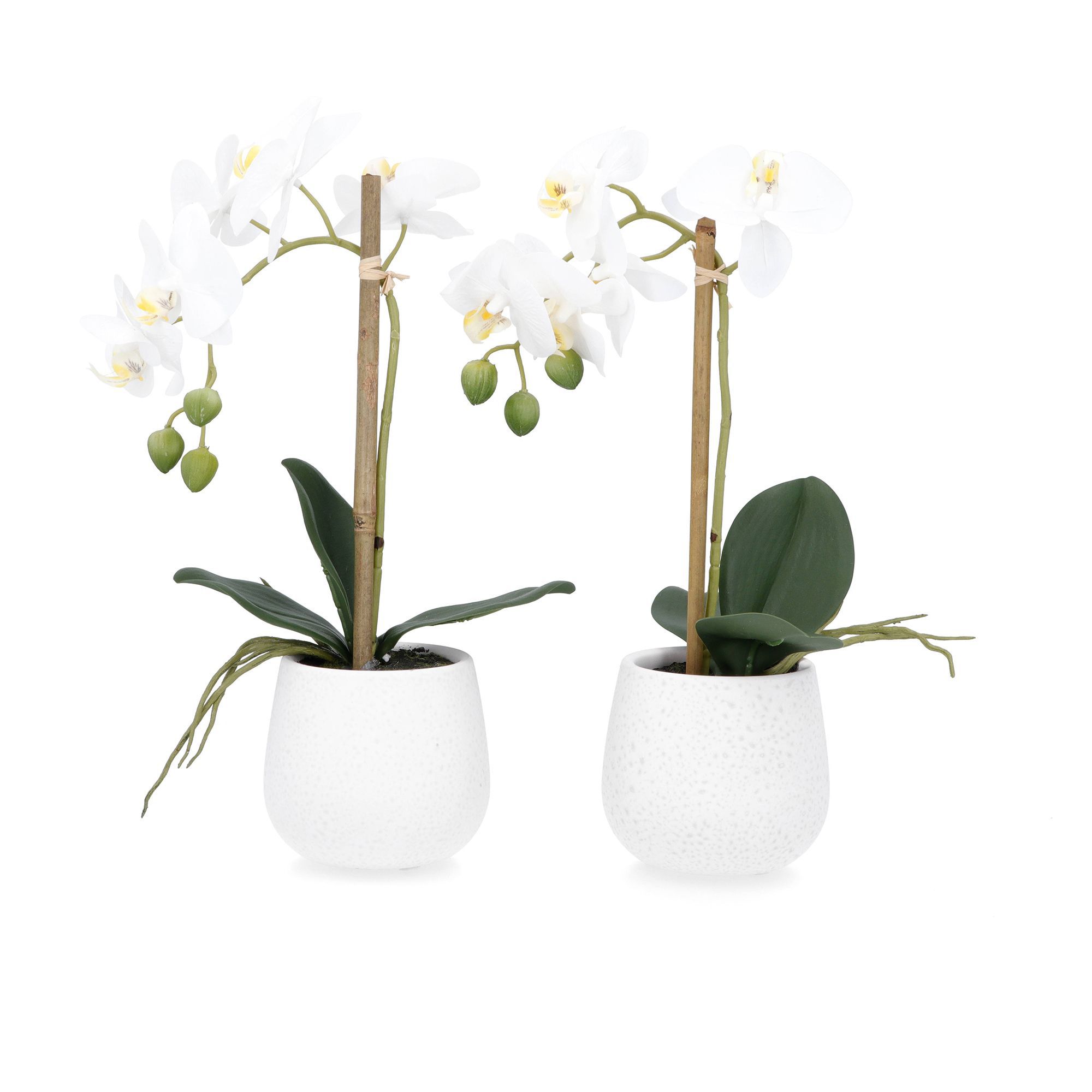 Image of Home Reflections Set di 2 orchidee artificiali con vaso061