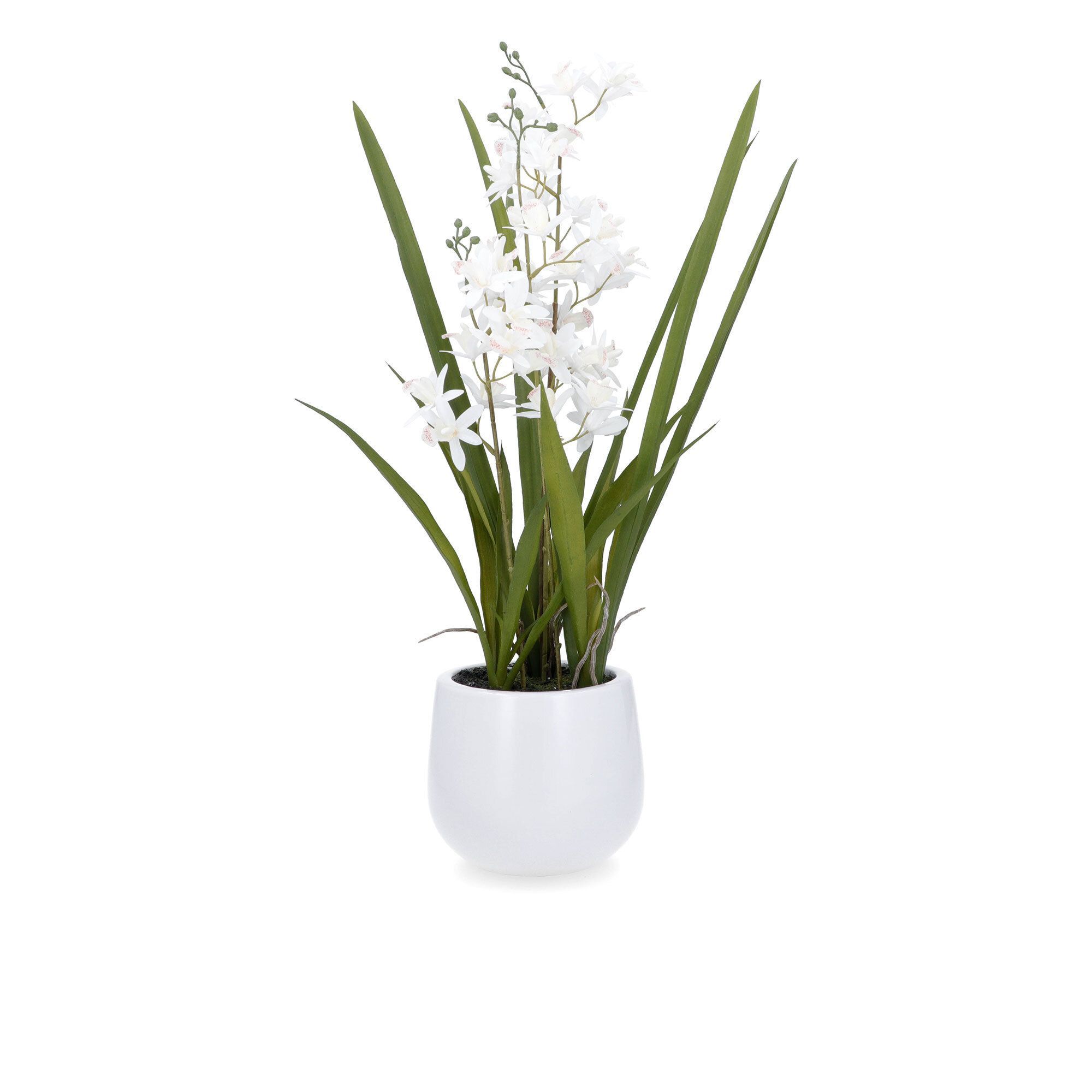 QVC Home Reflections Vaso con mini orchidee finte