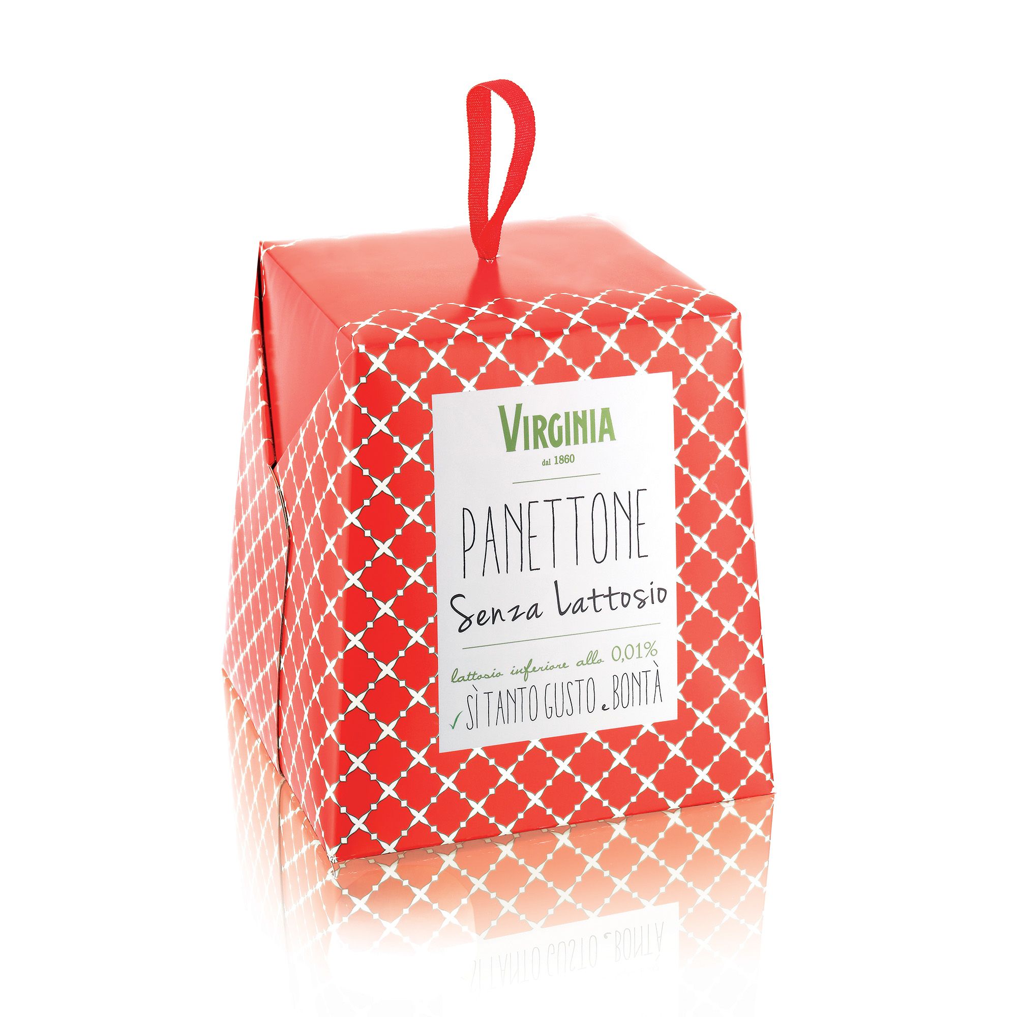 Amaretti Virginia
Panettone
senza lattosio (750g)