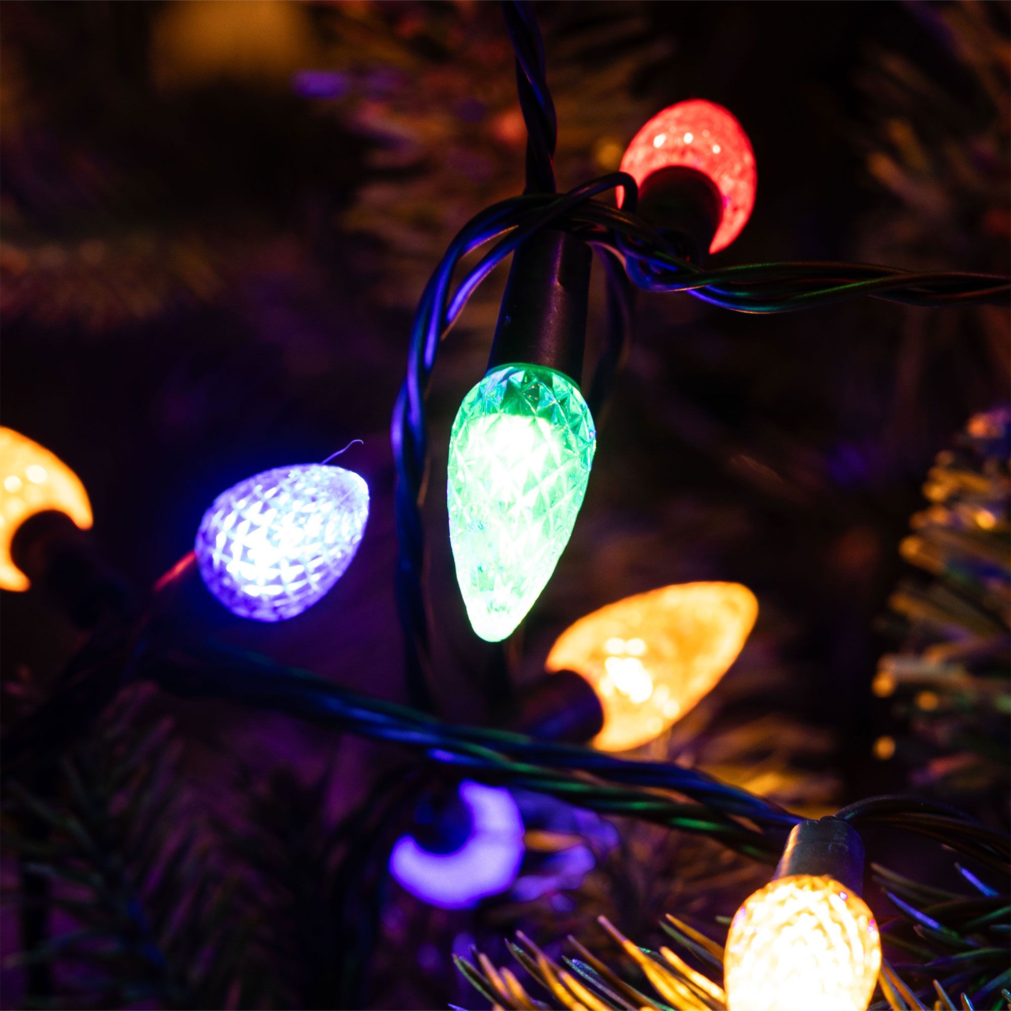 Santa Express
Luci a filo
vintage 100 LED
multicolore