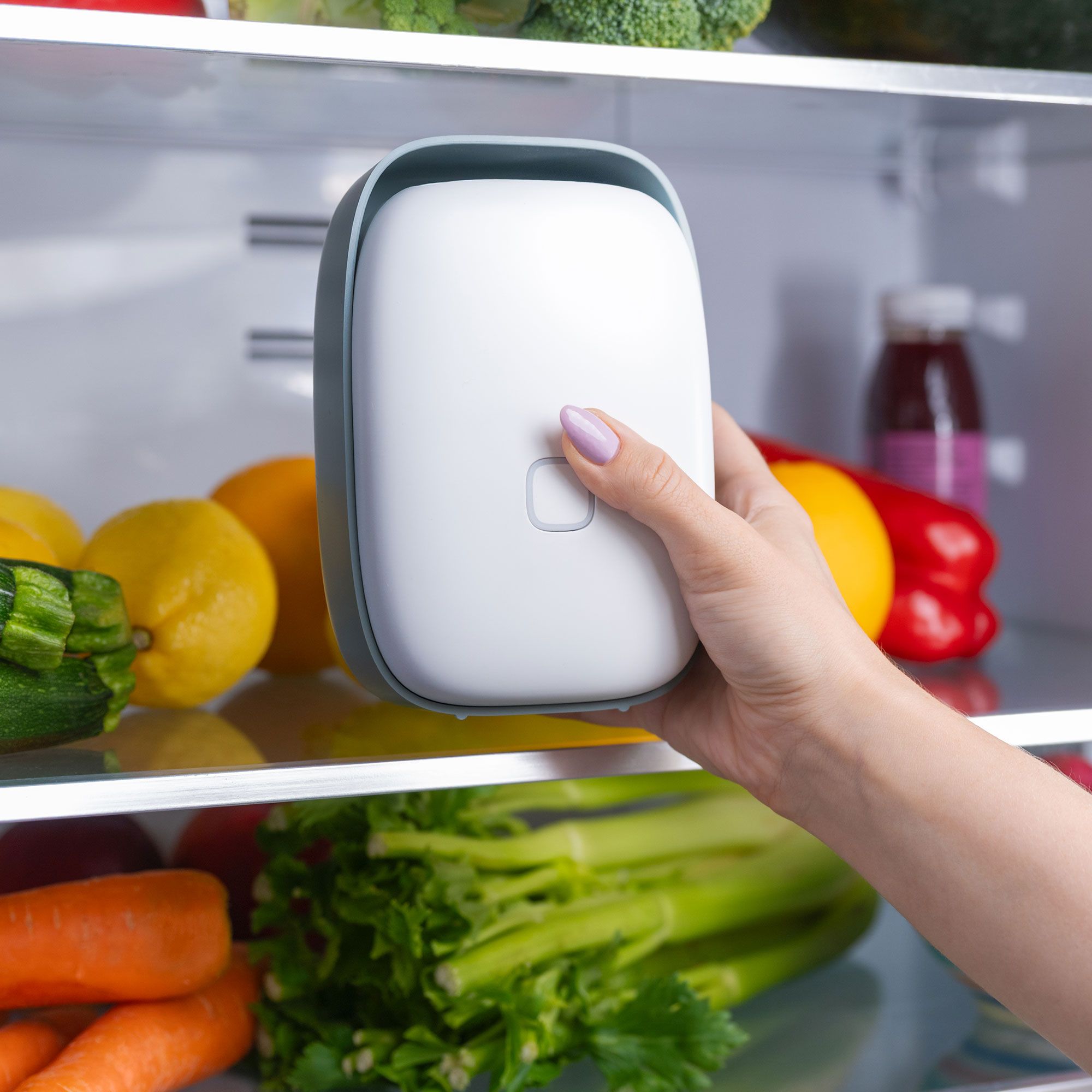 Vitesy
Shelfy Upgraded
Purificatore d'aria
per frigorifero