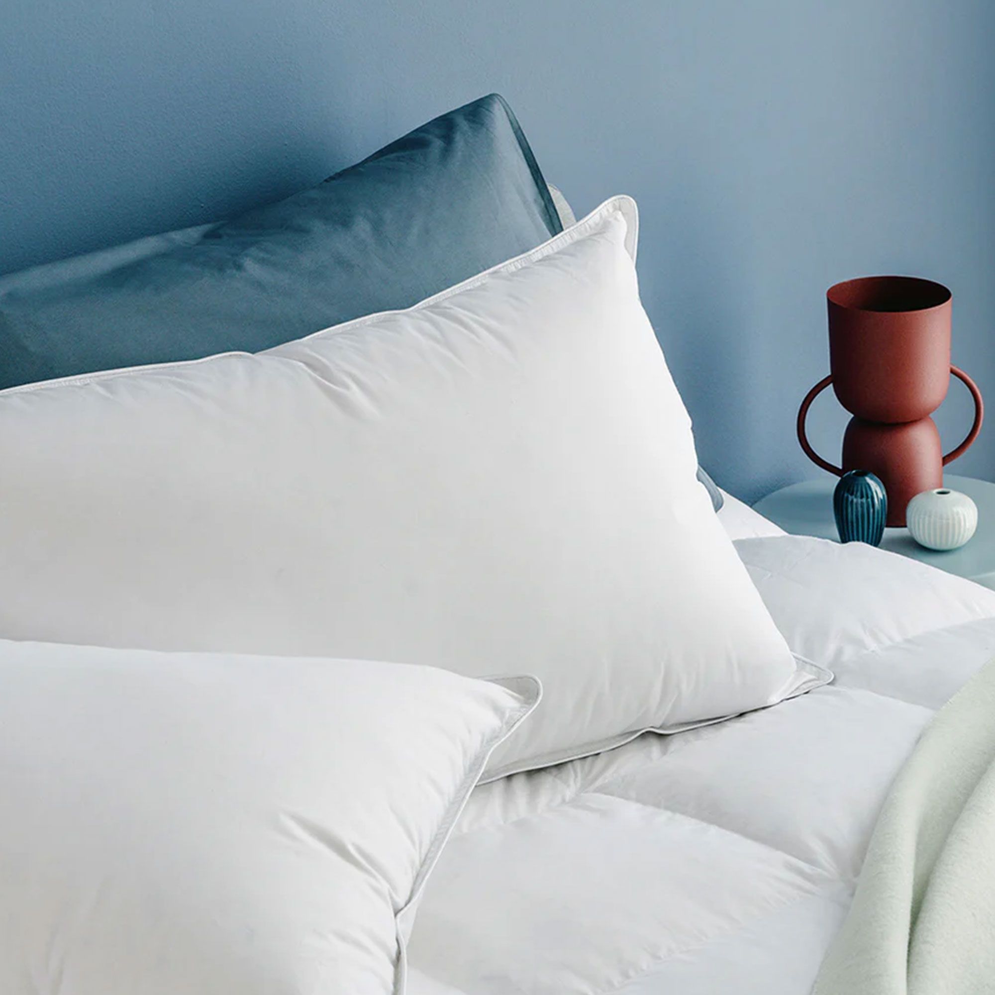 Northern Nights
Guanciale
Flower Down