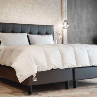 Daunex
Adamello Medium in
piumino argentato
esterno cotone