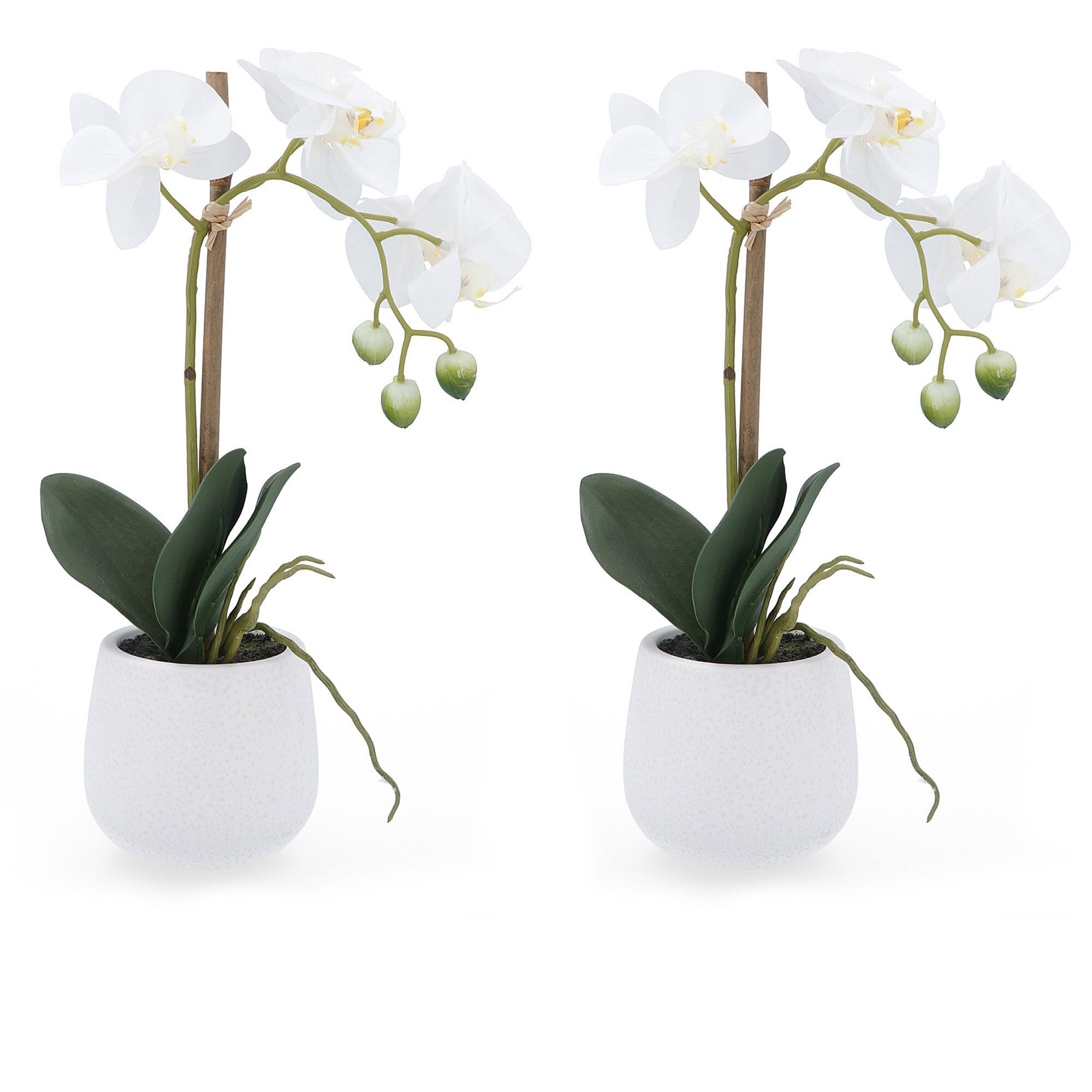 Set 2 orchidee artificiaili in vasi di ceramica