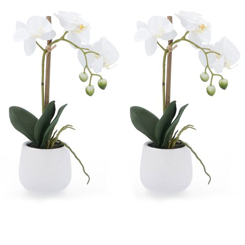 Home Reflections Set 2 orchidee artificiali in vasi di ceramica - QVC Italia
