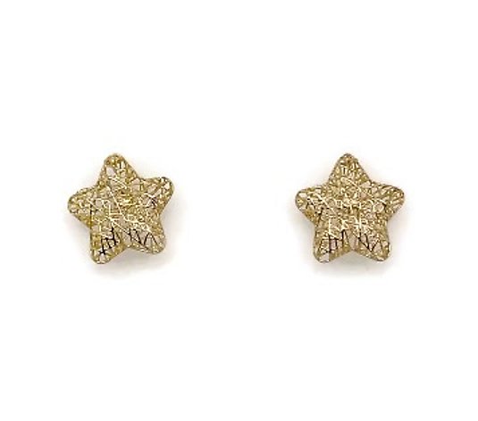 Alkeme 10K Gold Hollow Mesh Star Stud Earrings