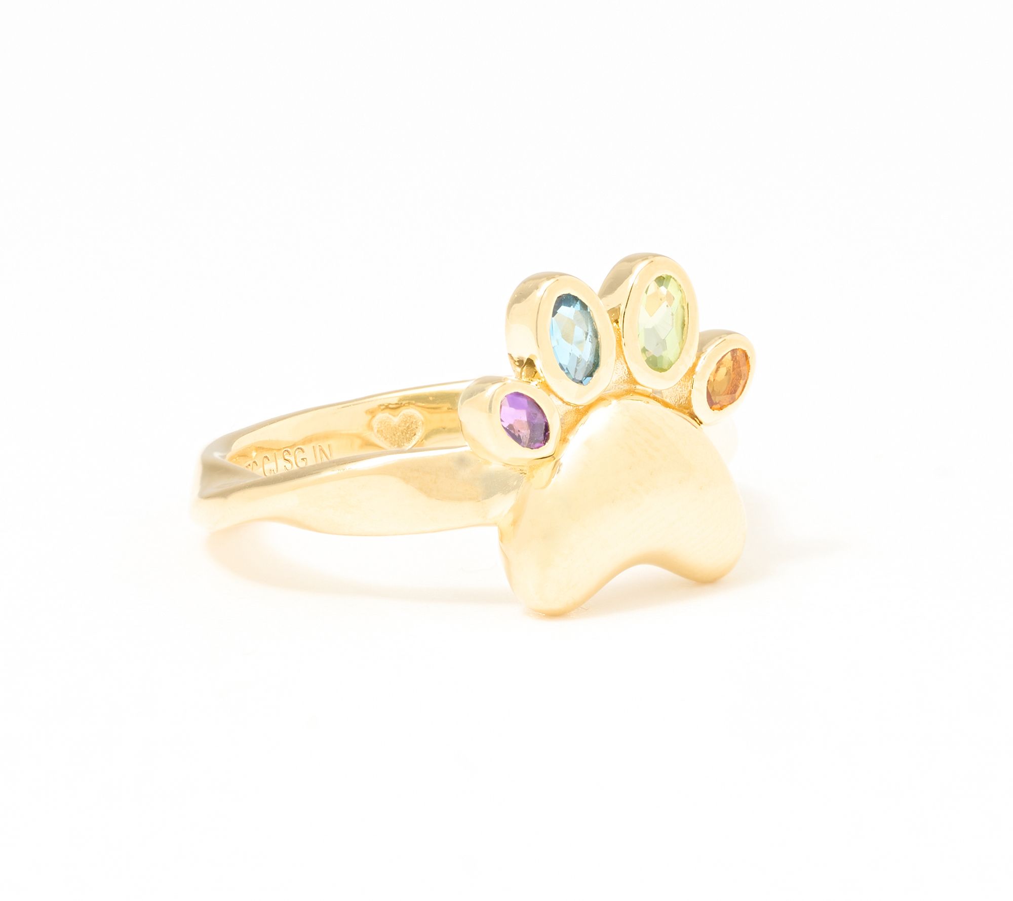 Christian James by Scott Grimes 14K Plated Rainbow Paw Gemstone Ring