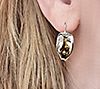 Hagit Sterling & 14K Gold Abstract Leaf Earrings, 3 of 3