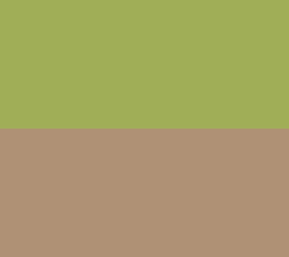 Peridot & Smokey Quartz