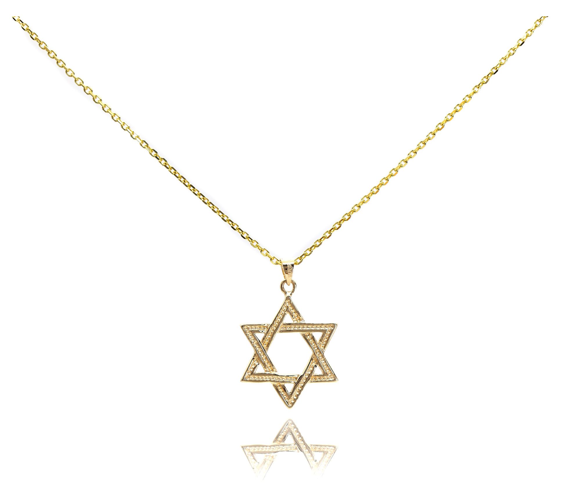 Adi Paz 14K Gold Diamond Cut Star of David Pendant w/ Chain
