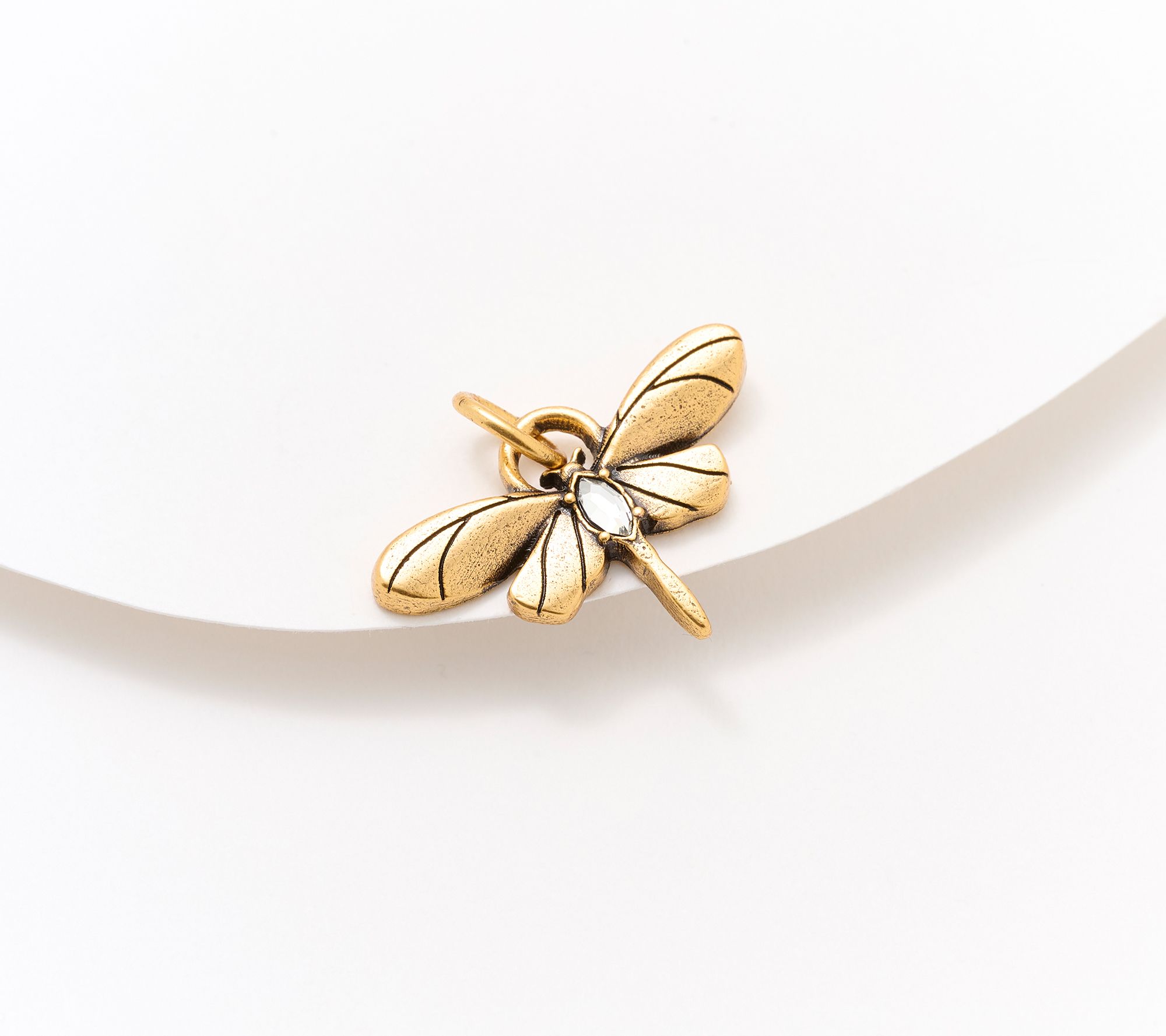 Divinely Guided by Theresa Caputo Dragonfly Charm