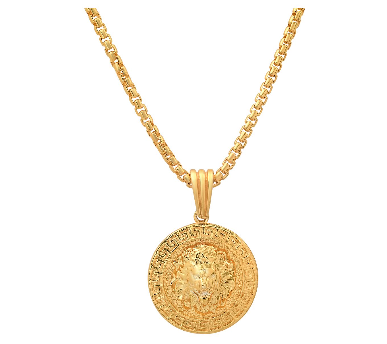 Silver Style Men's14K Gold Plated Lion Coin Pendant w/ Chain
