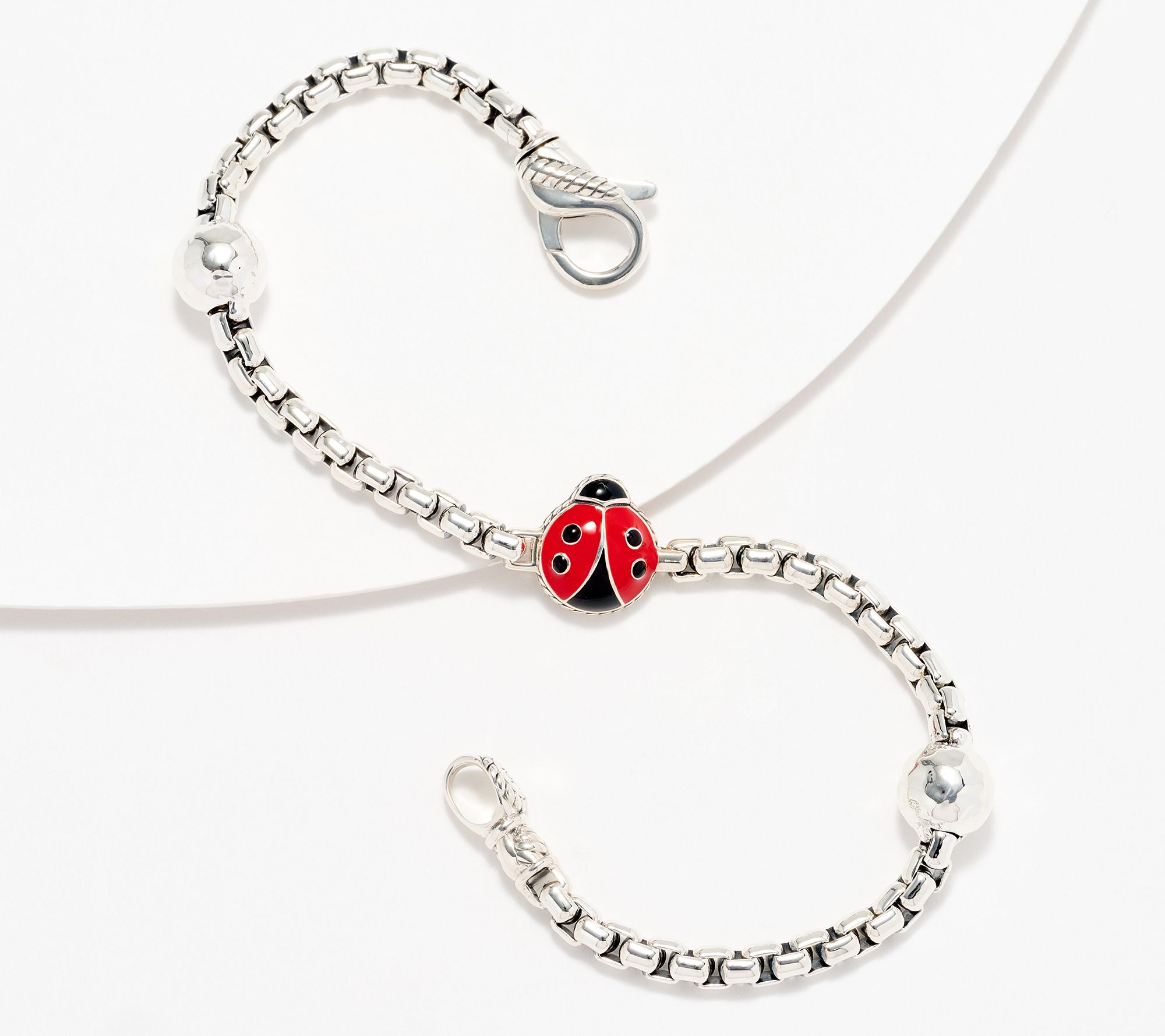 Ladybug