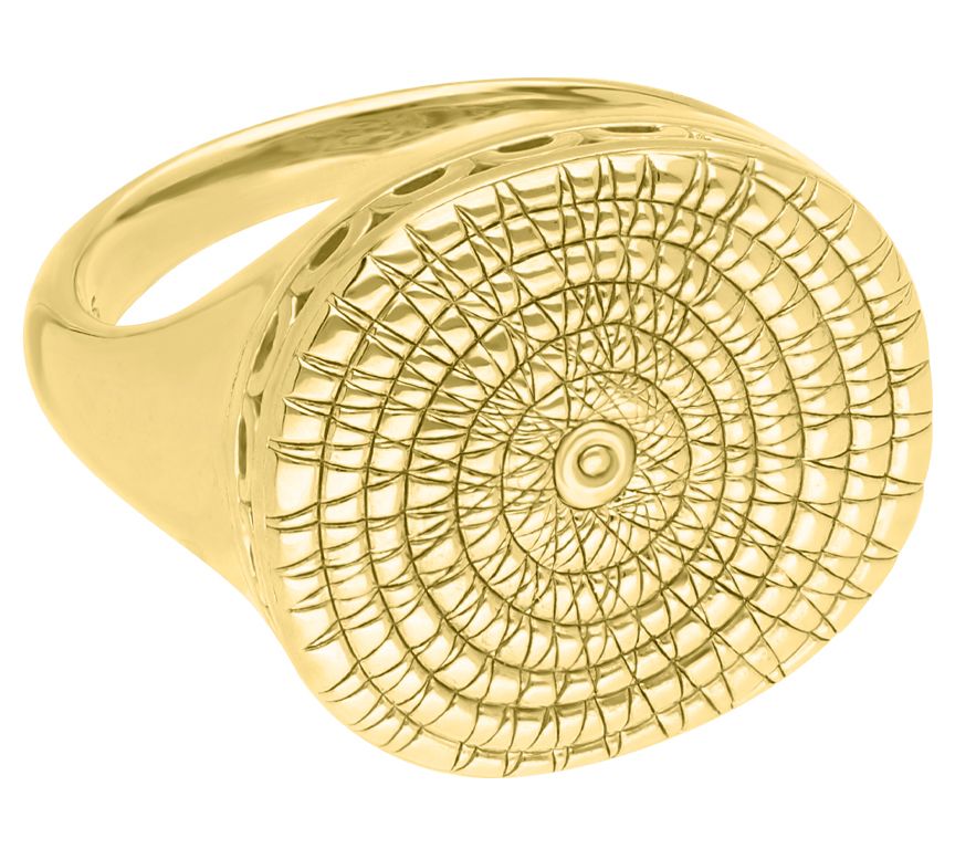 Elyse Ryan 14K Gold Clad Nautilus Ring