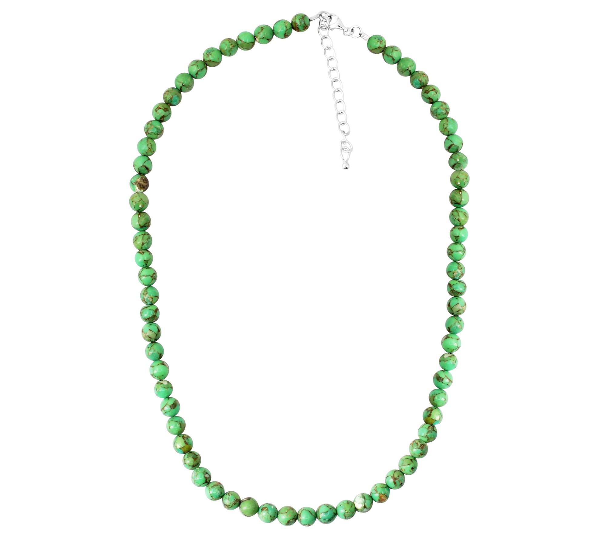 Sterling Silver Parrot Compress Turquoise B eadNecklace