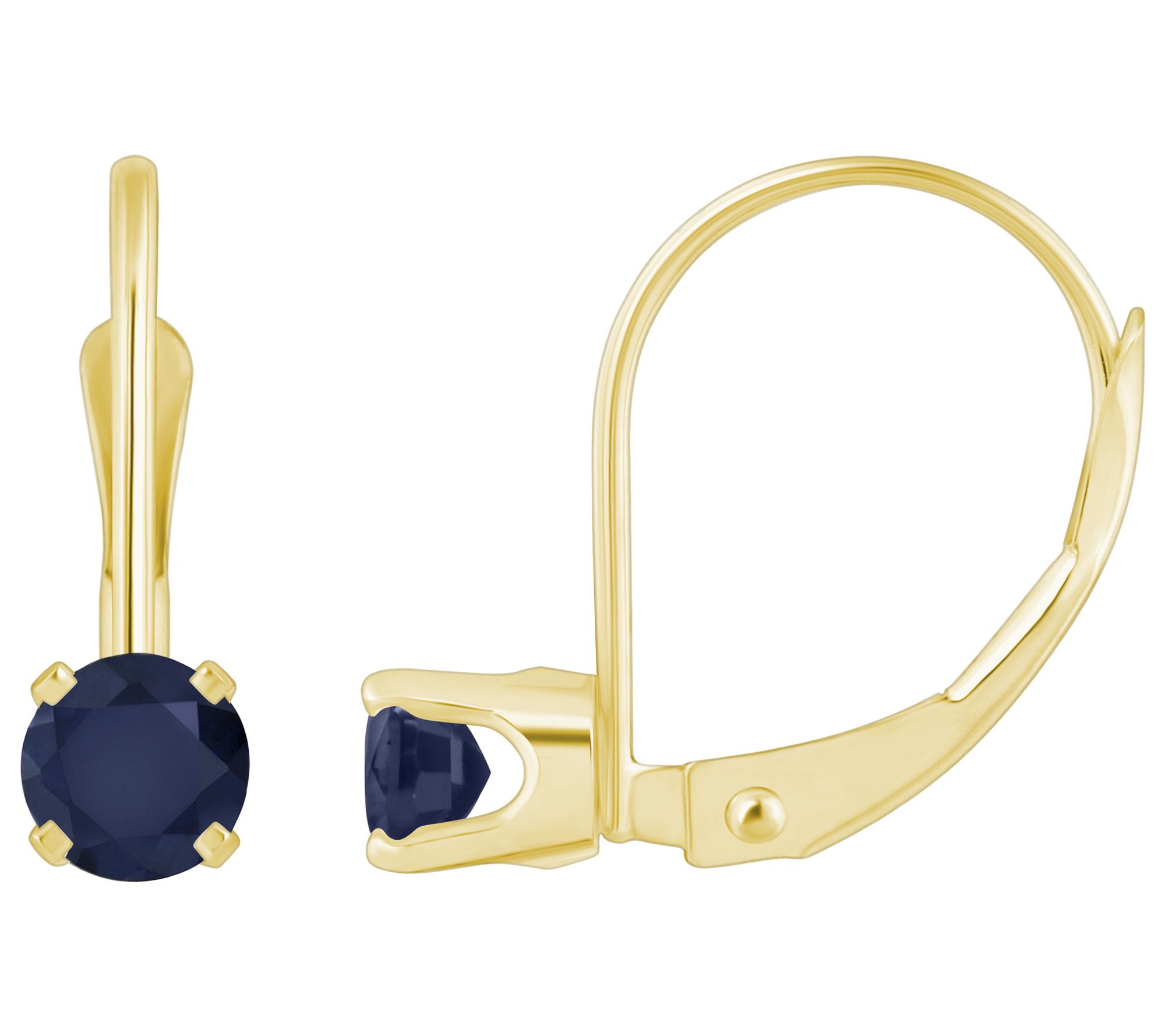 Affinity Gems Round Gemstone Leverback Earrings