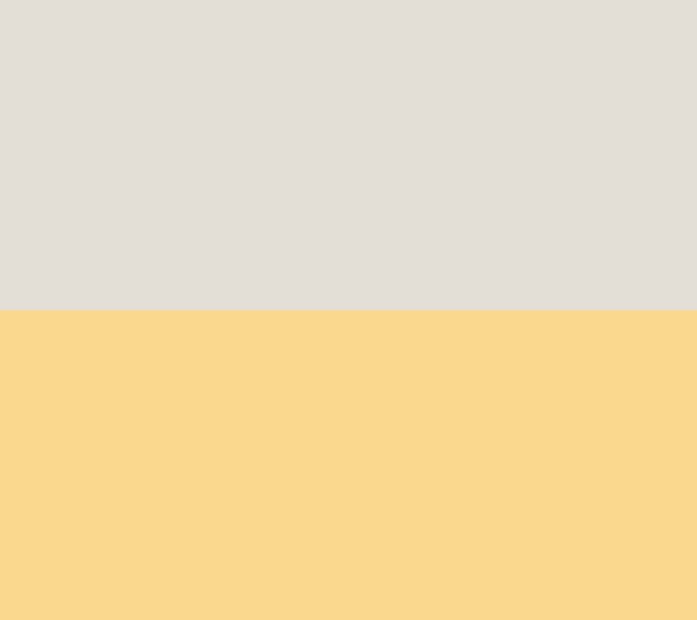 Yellow/Silver