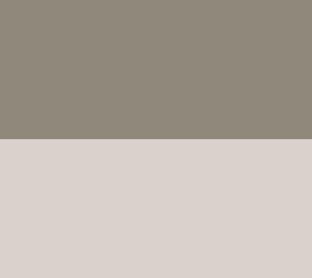 Silver/Black