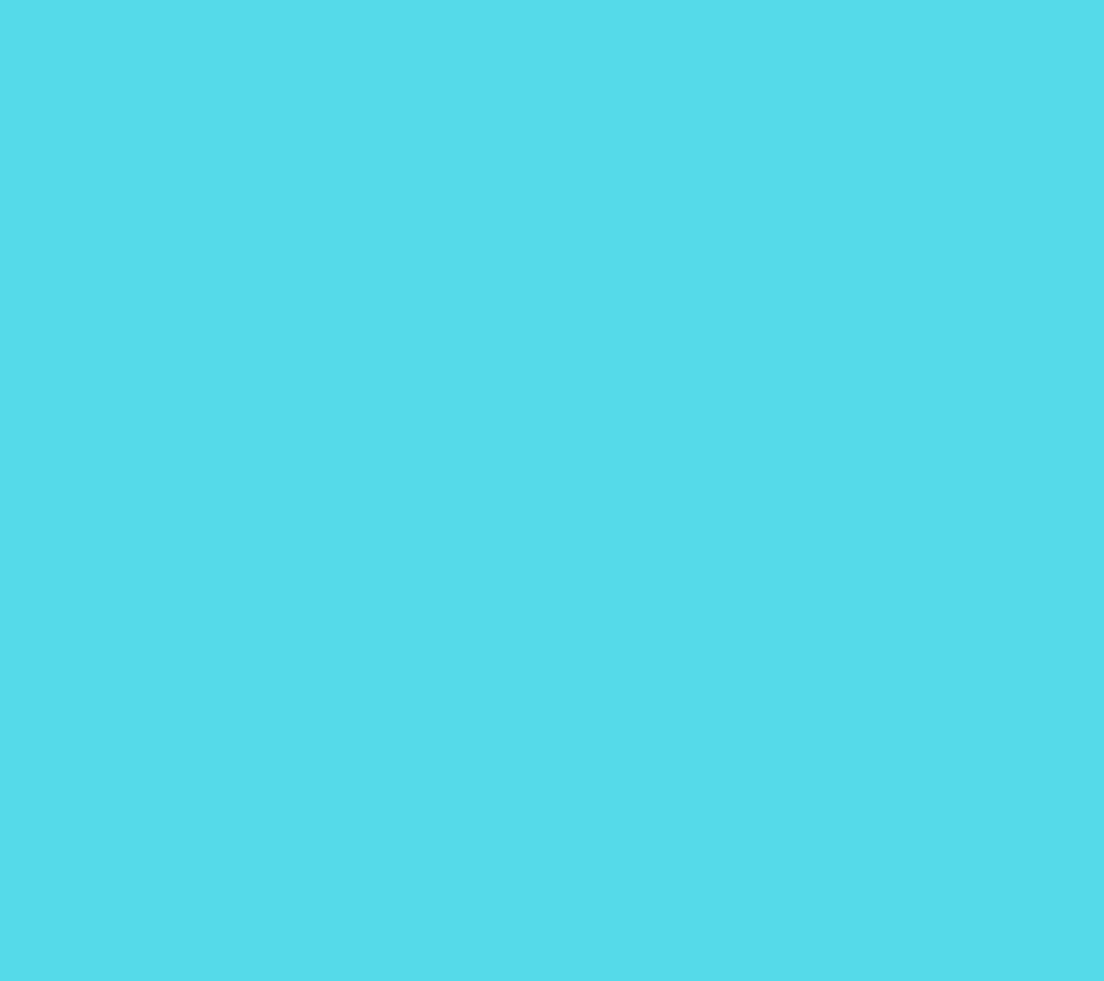 Turquoise/Blue