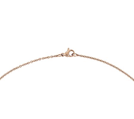 Steel by Design Polished Rosetone Heart Necklace - QVC.com