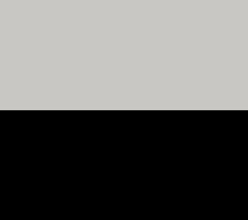 Silver/Black