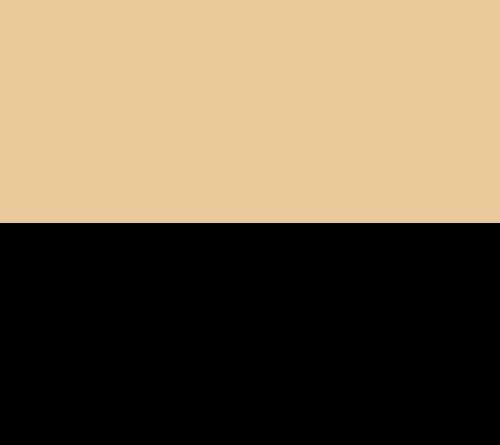 Gold/Black