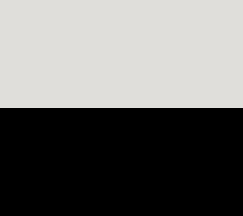 Silver/Black