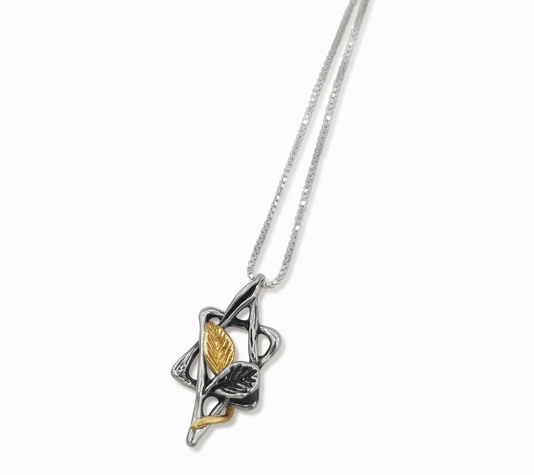 Hagit Sterling & 14k Gold Star of David Pend ant w/ Chain