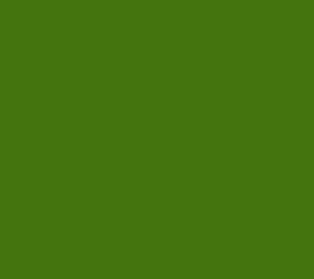 Chrome Diopside
