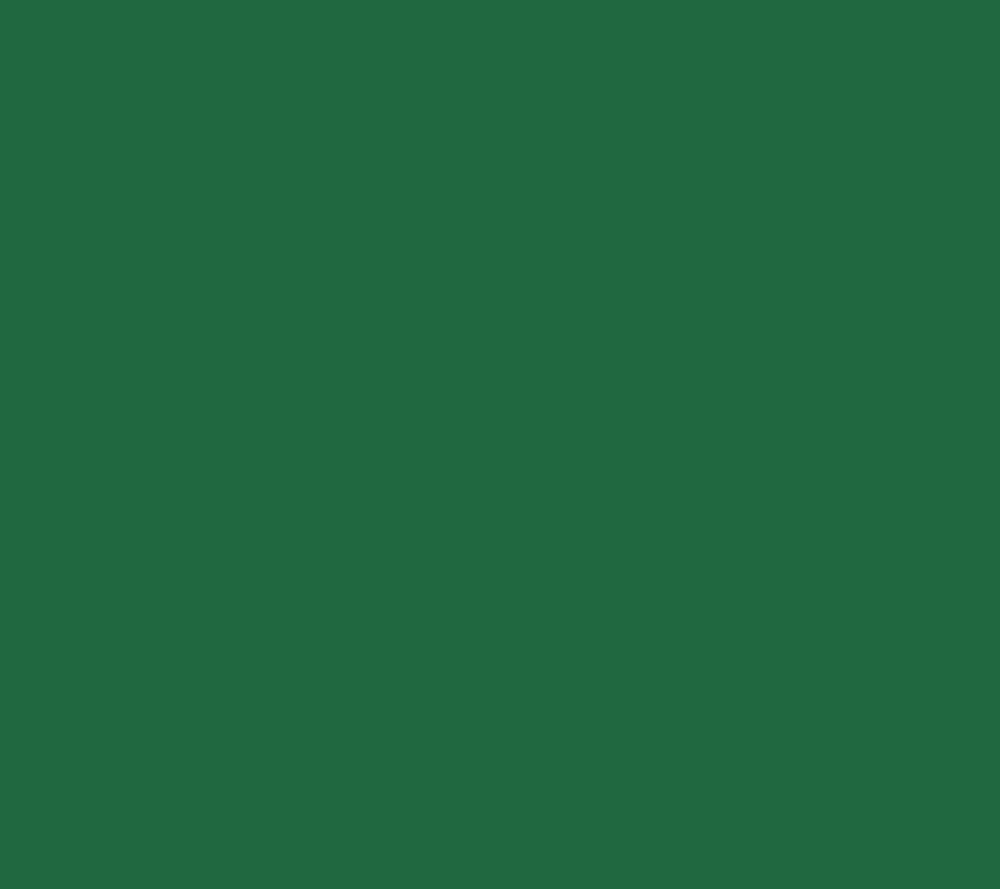 Green Quartzite