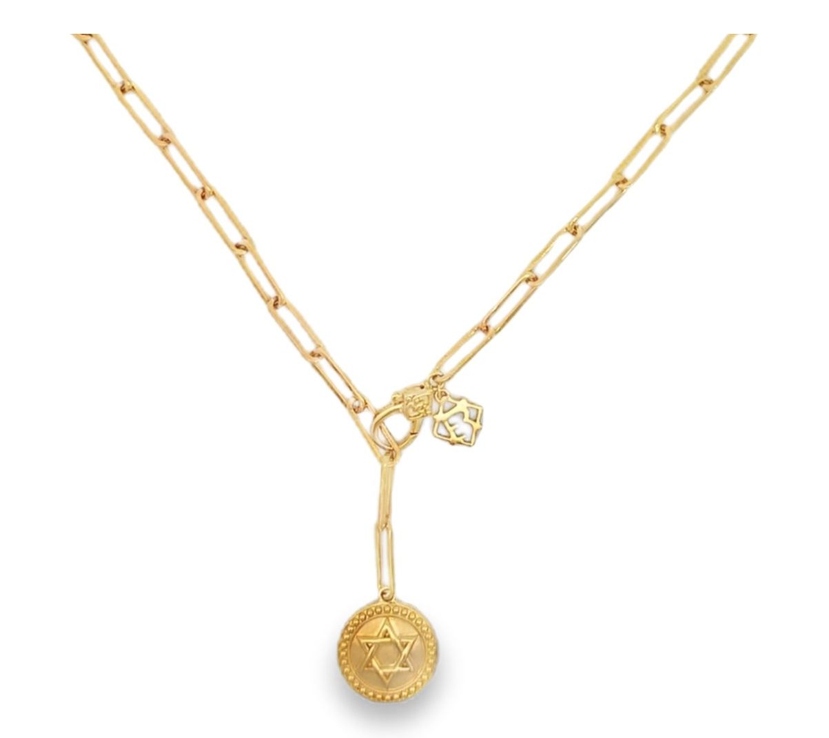 Elyse Ryan 14K Gold Clad Shani Star of David Necklace