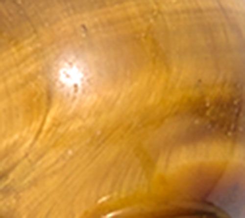 Tiger Eye
