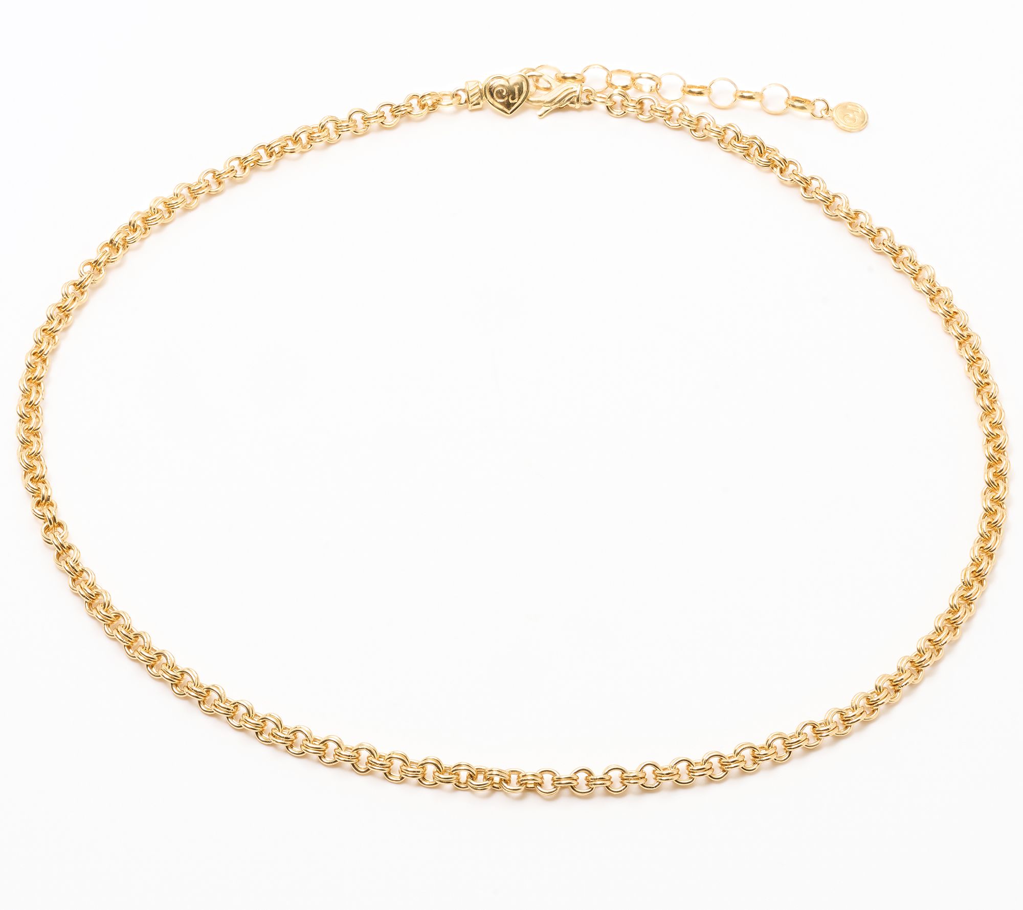 Christian James by Scott Grimes 14K Clad 18" Rolo Link Chain Necklace, 19.0g