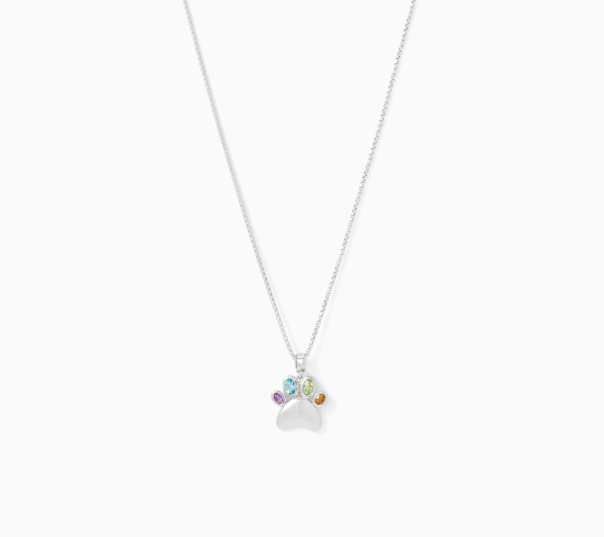 Christian James by Scott Grimes Sterling Silver Rainbow Paw Necklace