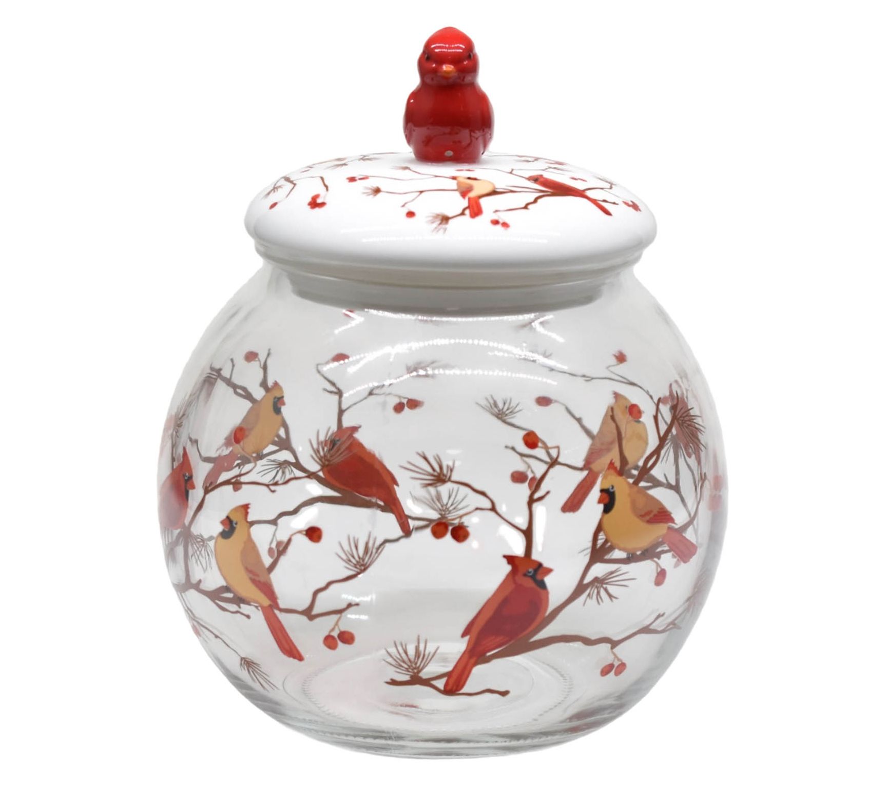 Temp-tations 2.5-qt Glass Cookie Jar with Stoneware Lid