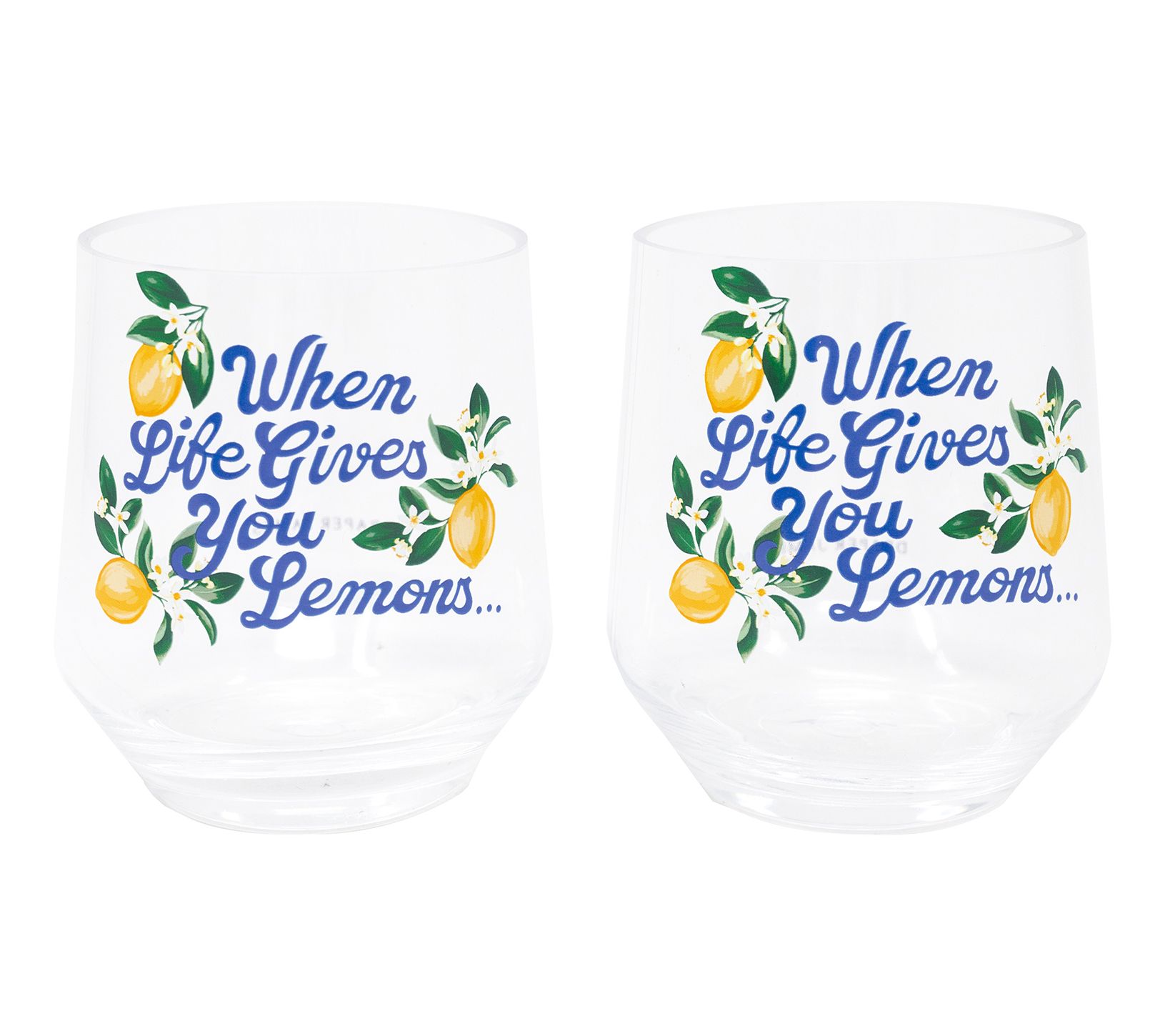 Draper James Acrylic Wine Glass Set of 2