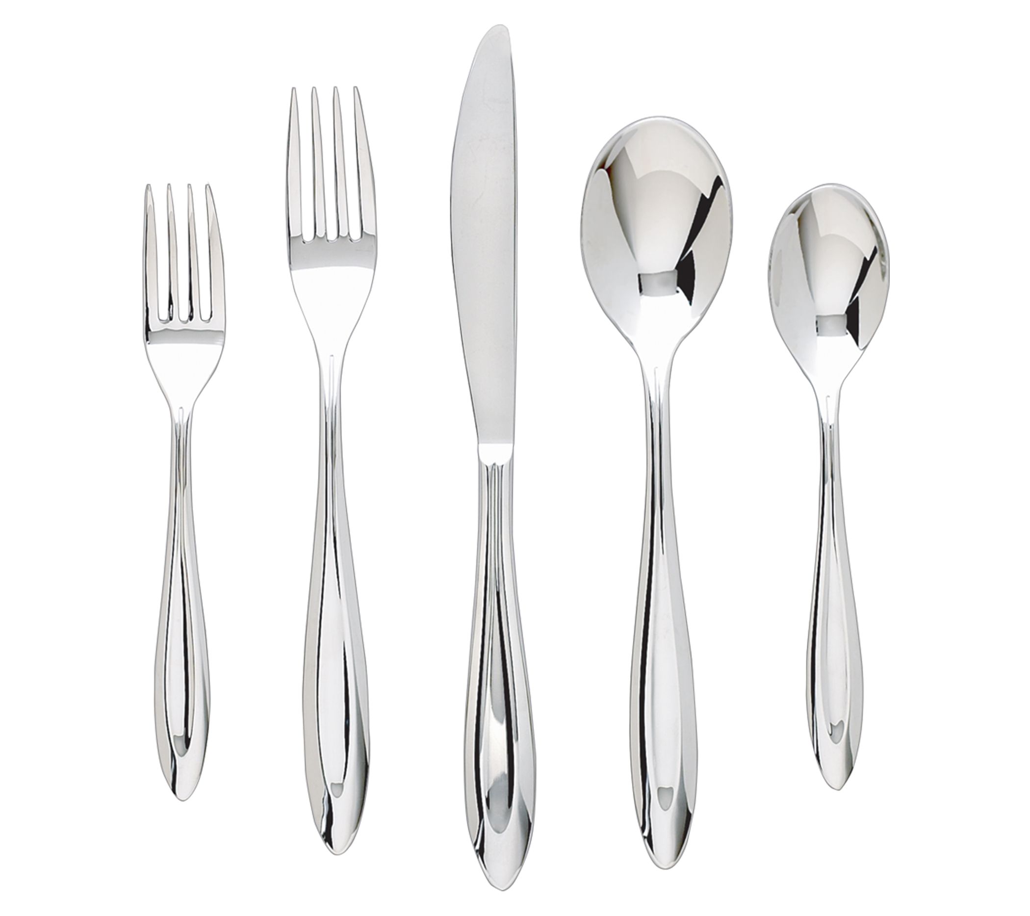 Ginkgo Select Fontur Platinum 20 Piece Servicefor 4