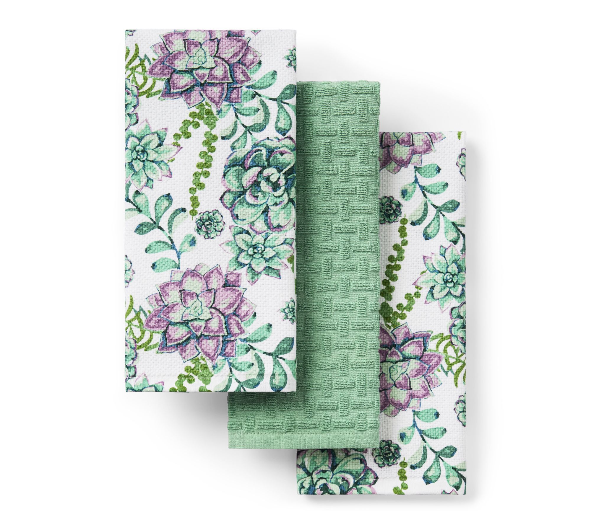 Town & Country Living Succulen ts Kitchen Towe l 3-Pack Set