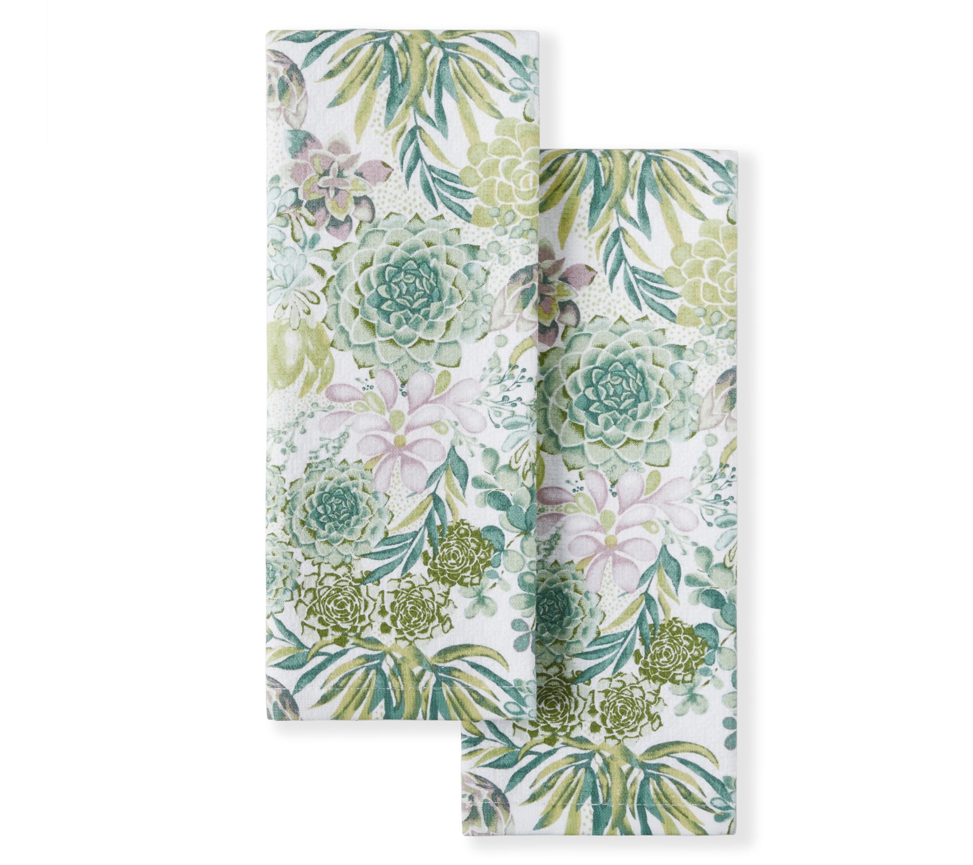 MARTHA STEWART Succulents  Kitchen Towel 2-PackSet