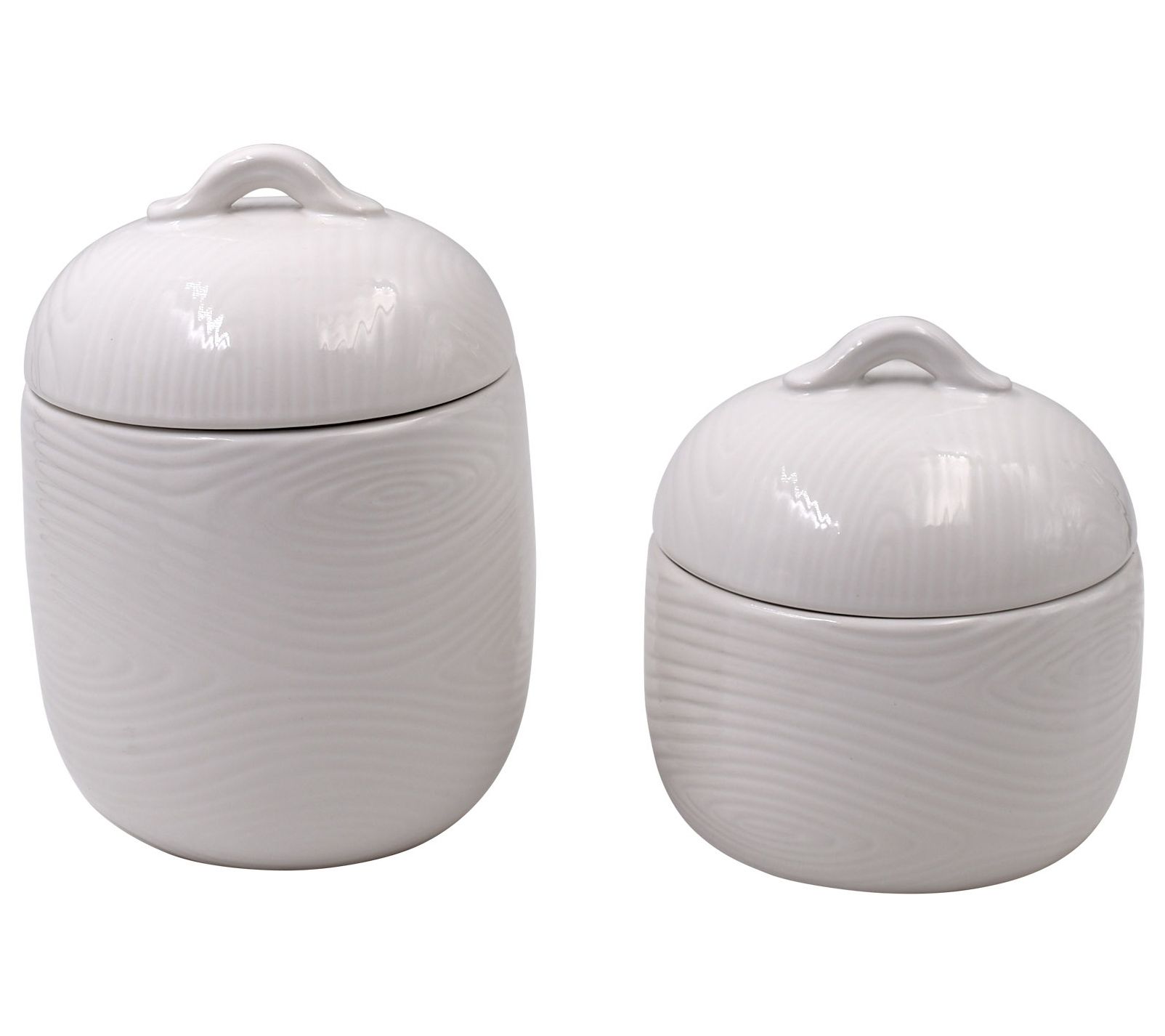 Temp-tations Set of 2 Countertop Canisters