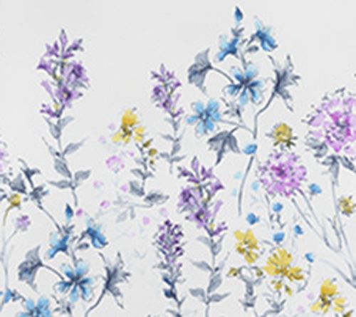 Wild Meadow