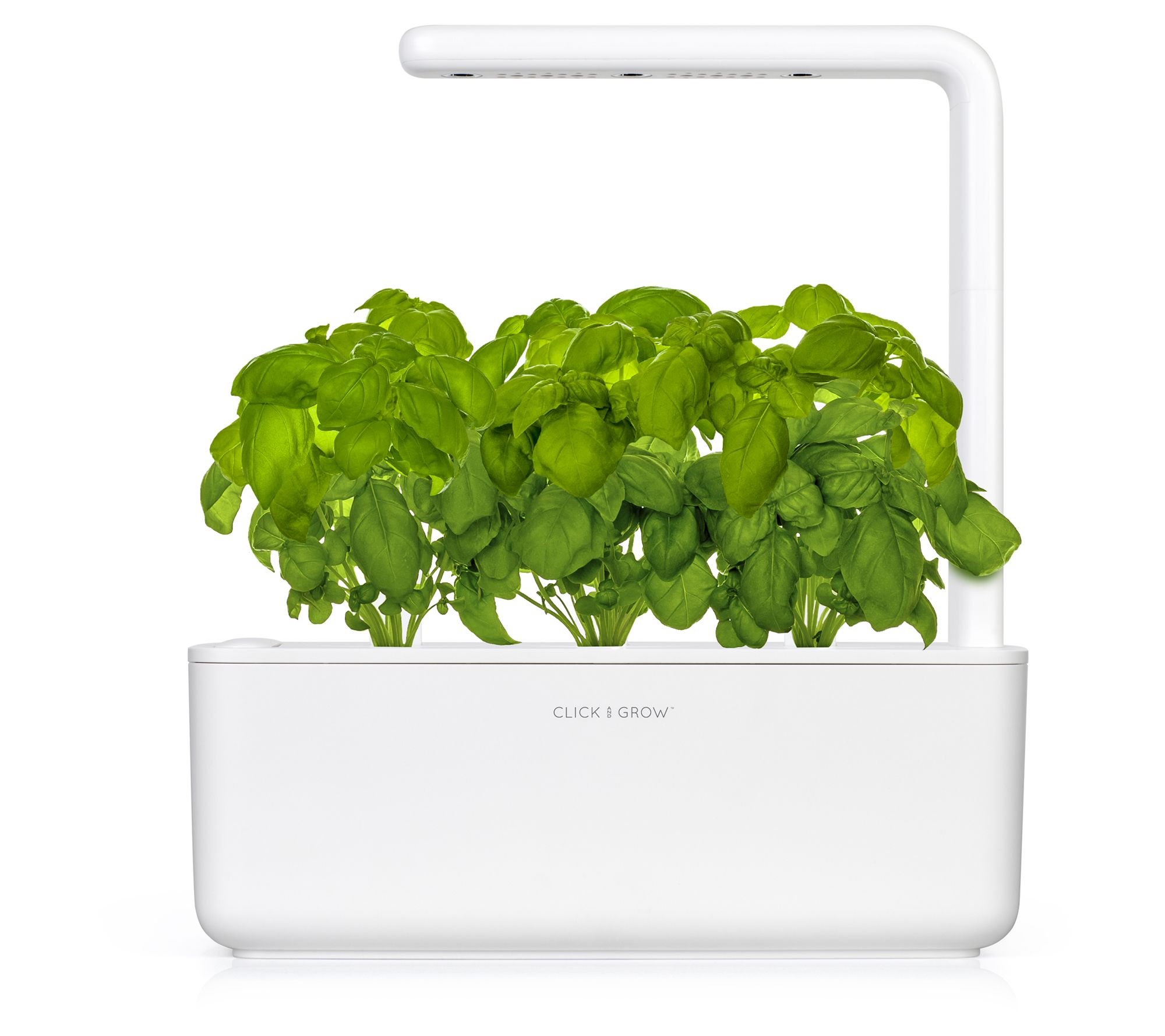 Click & Grow Smart Garden System - 3 Basil Pods