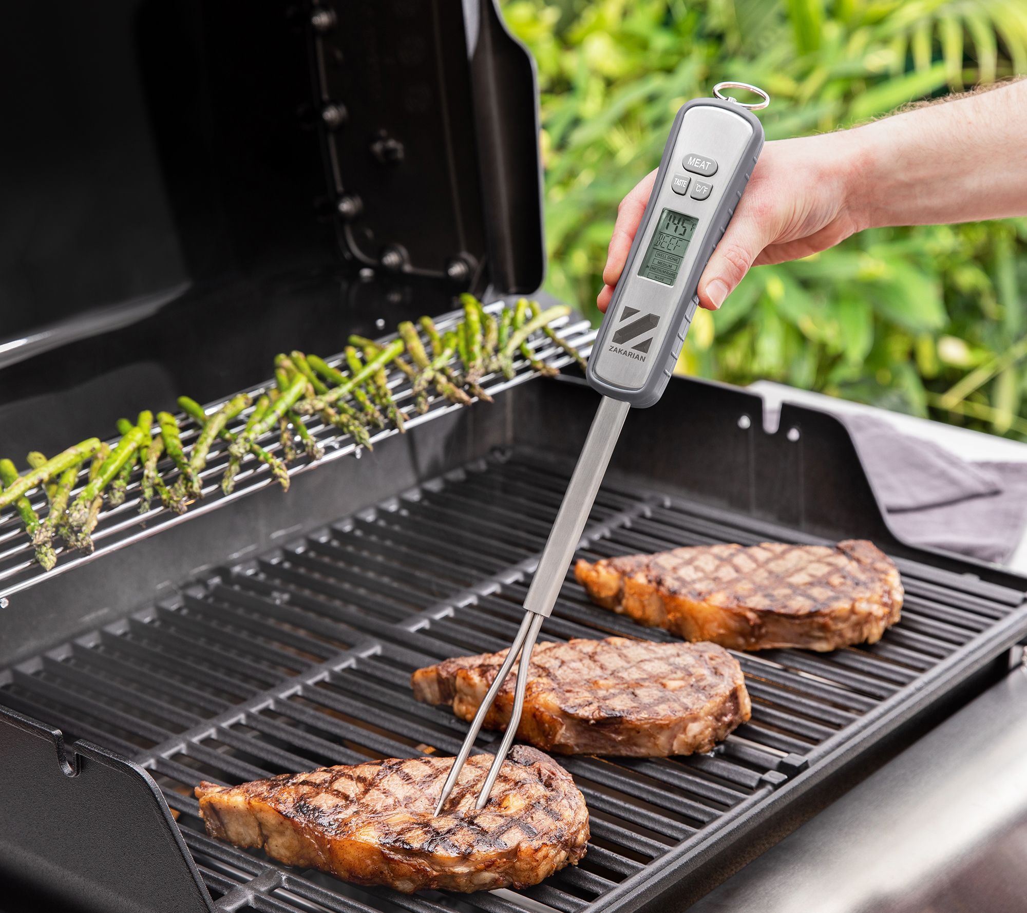 Mr. Bar-B-Q Digital BBQ Temperature Fork