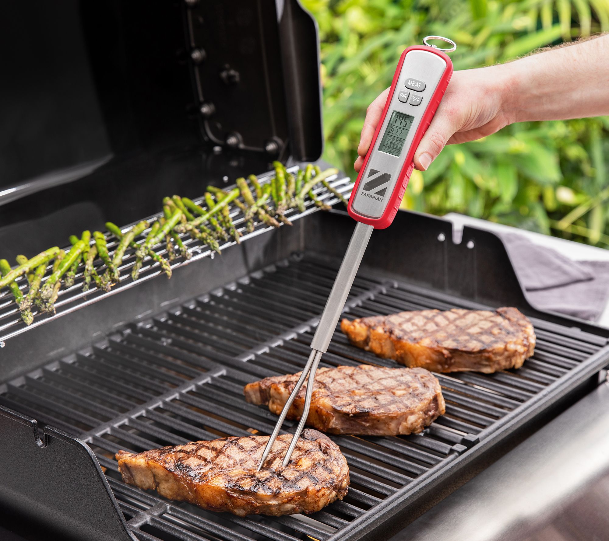 Digital BBQ Temperature Fork - Mr. Bar-B-Q