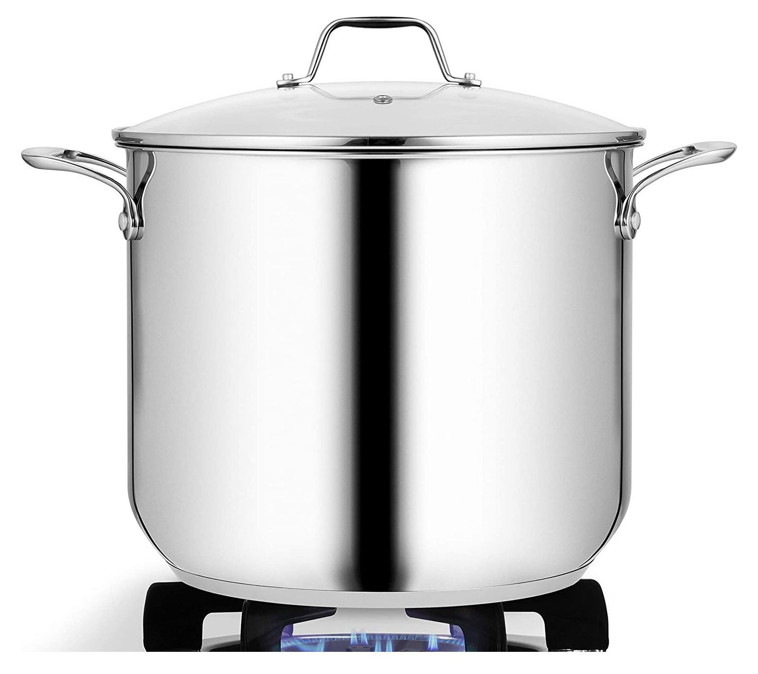 Nutrichef 12-qt Heavy Duty Induction Pot With Lid